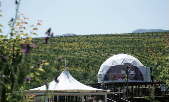 南京對口幫扶西寧:東西部協作下的‘寧寧之約’創新發展模式