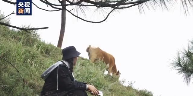 成都到越西的火車_成都到越西火車_火車票成都到越西