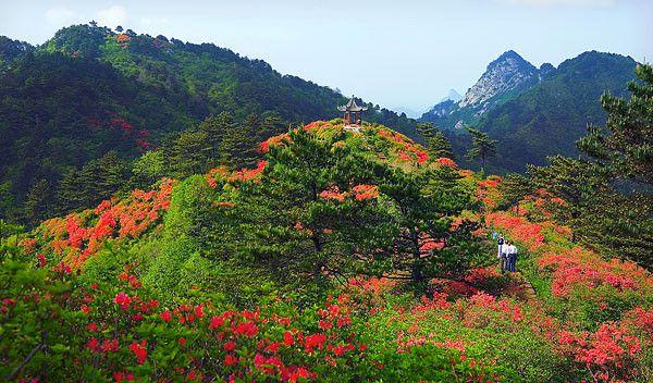 黃梅火車站車次_黃梅的火車_途徑黃梅的火車