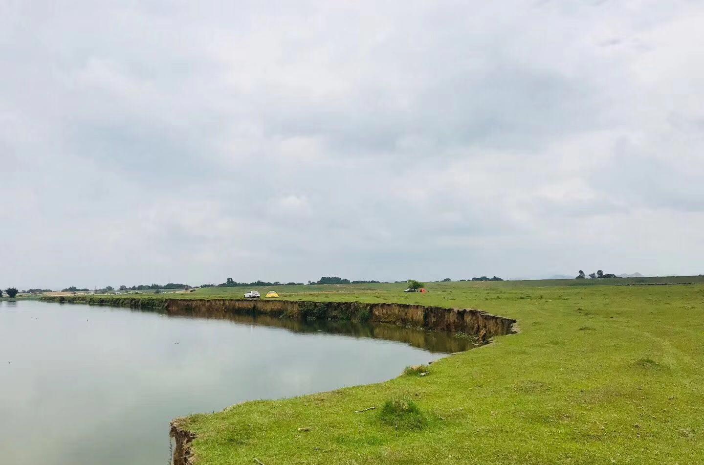 惠州紫溪草原：離深圳50公里的南方完美草原，小眾景點推薦