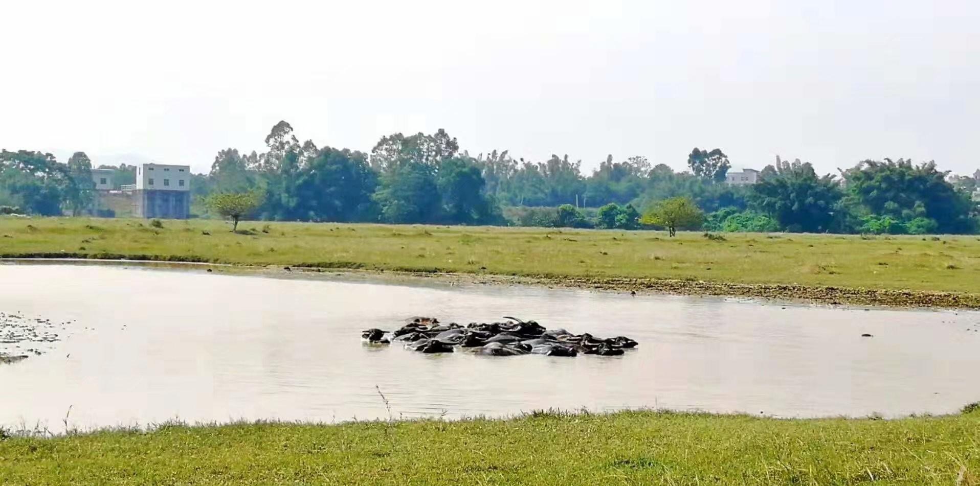 深圳自駕露營攻略_深圳去哪露營_深圳自駕游露營