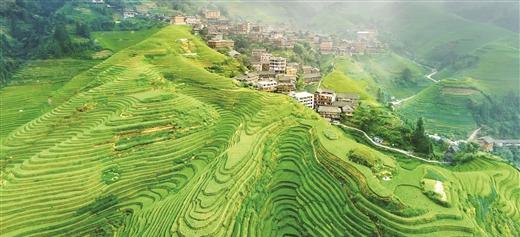 新型旅游項目創業項目_新型旅游項目有哪些_新型旅游項目