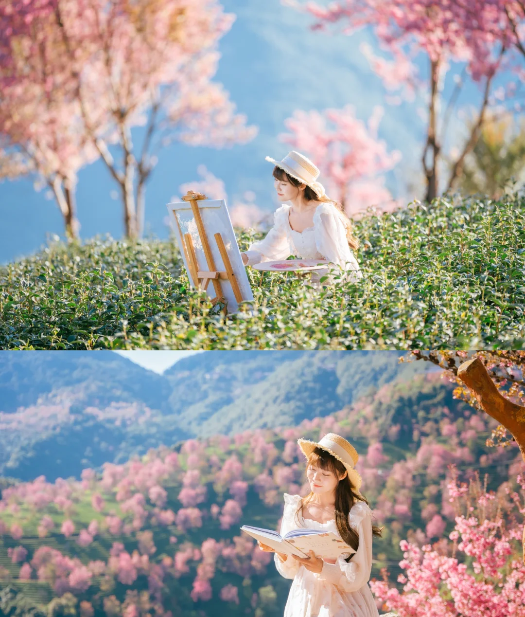 云南旅游規劃_云南省旅游規劃_云南旅游發展規劃