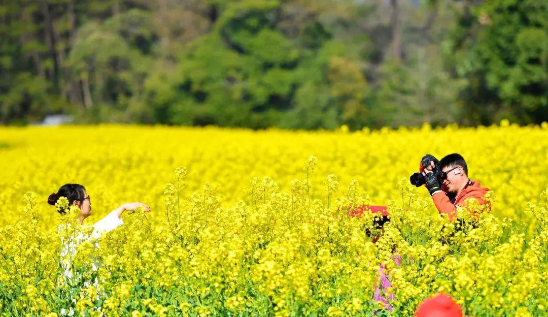 紹興到鄭州路過城市_紹興離鄭州有多少公里_鄭州到紹興自駕游
