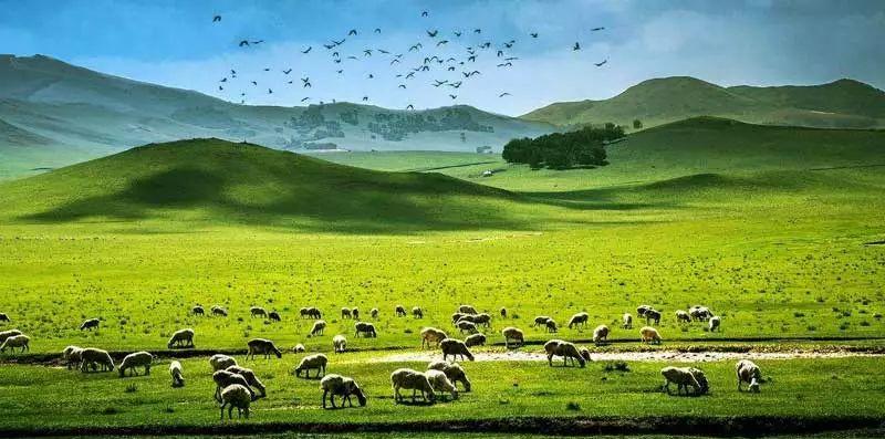 興隆山一日游自駕游攻略_興隆山自駕游_自駕興隆山游路線圖