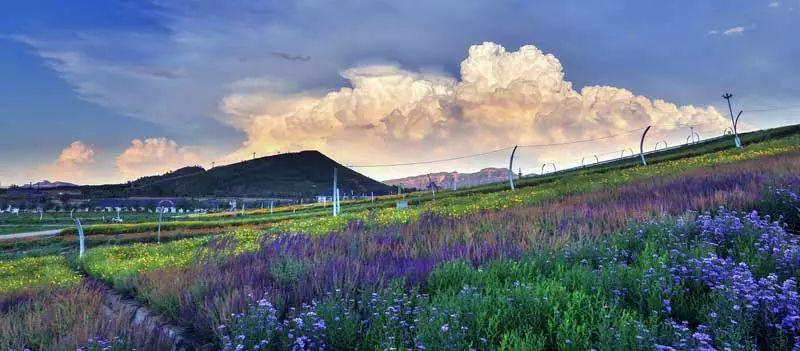 興隆山自駕游_自駕興隆山游路線圖_興隆山一日游自駕游攻略