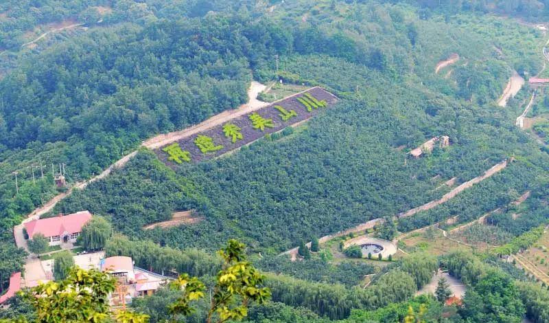 興隆山自駕游_自駕興隆山游路線圖_興隆山一日游自駕游攻略