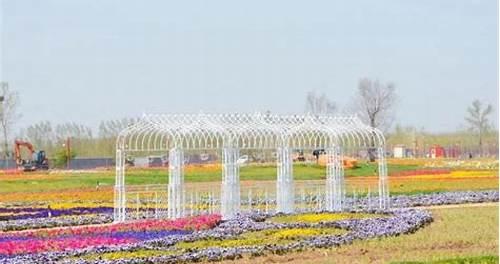 濰坊:山東中部歷史悠久的旅游勝地,景點全解析