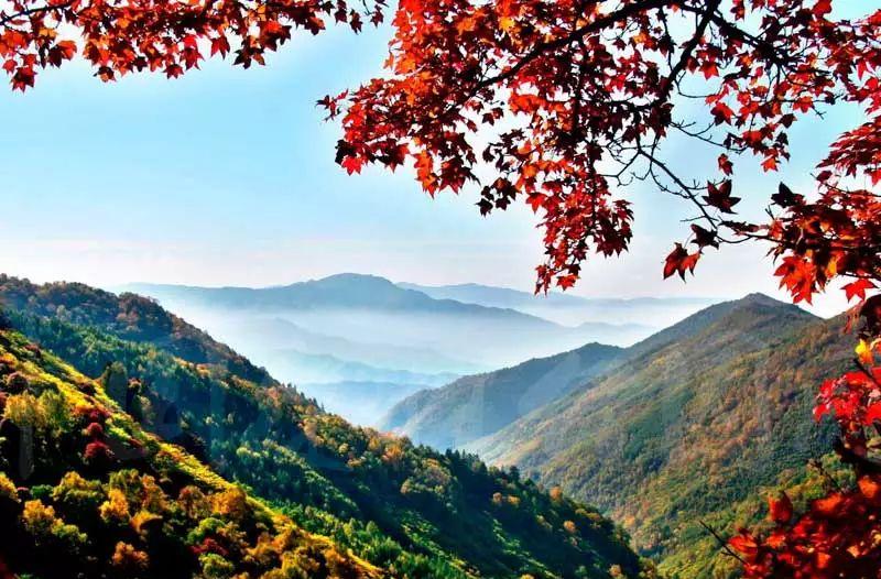 興隆山一日游自駕游攻略_興隆山自駕游_自駕興隆山游路線圖