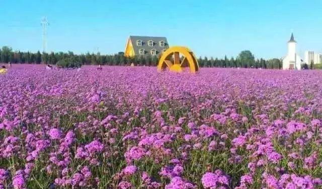 自駕興隆山游路線圖_興隆山一日游自駕游攻略_興隆山自駕游