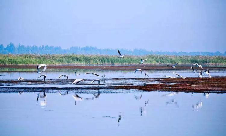 興隆山一日游自駕游攻略_自駕興隆山游路線圖_興隆山自駕游