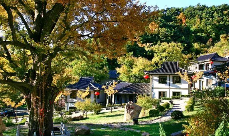 興隆山一日游自駕游攻略_興隆山自駕游_自駕興隆山游路線圖