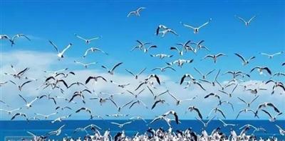 西寧自駕_西寧出發自駕游_西寧自駕游費用