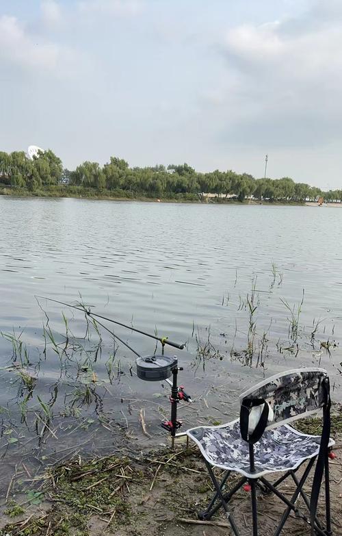 北京十五大釣魚好地方推薦:上莊水庫、沙場水庫等最佳垂釣地點