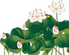 北京到承德自駕游_北京到承德兩日游_承德到北京自駕費(fèi)用