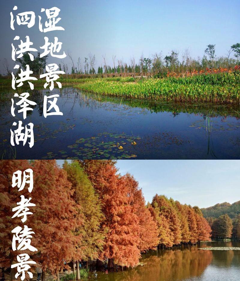 洪澤湖怎么玩?玩轉洪澤湖的建議及洪澤湖濕地公園全知道