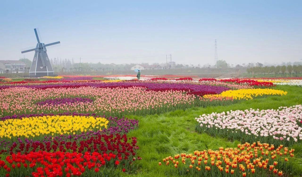 武漢周邊城市旅游_武漢周邊城市旅游攻略_周邊武漢旅游城市哪里好玩