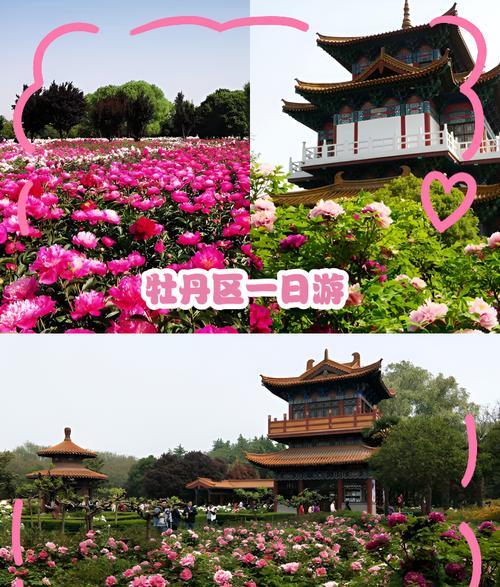 壽光生態農業觀光園:彌河四大景區、30萬株牡丹與歐洲風情建筑的完美融合