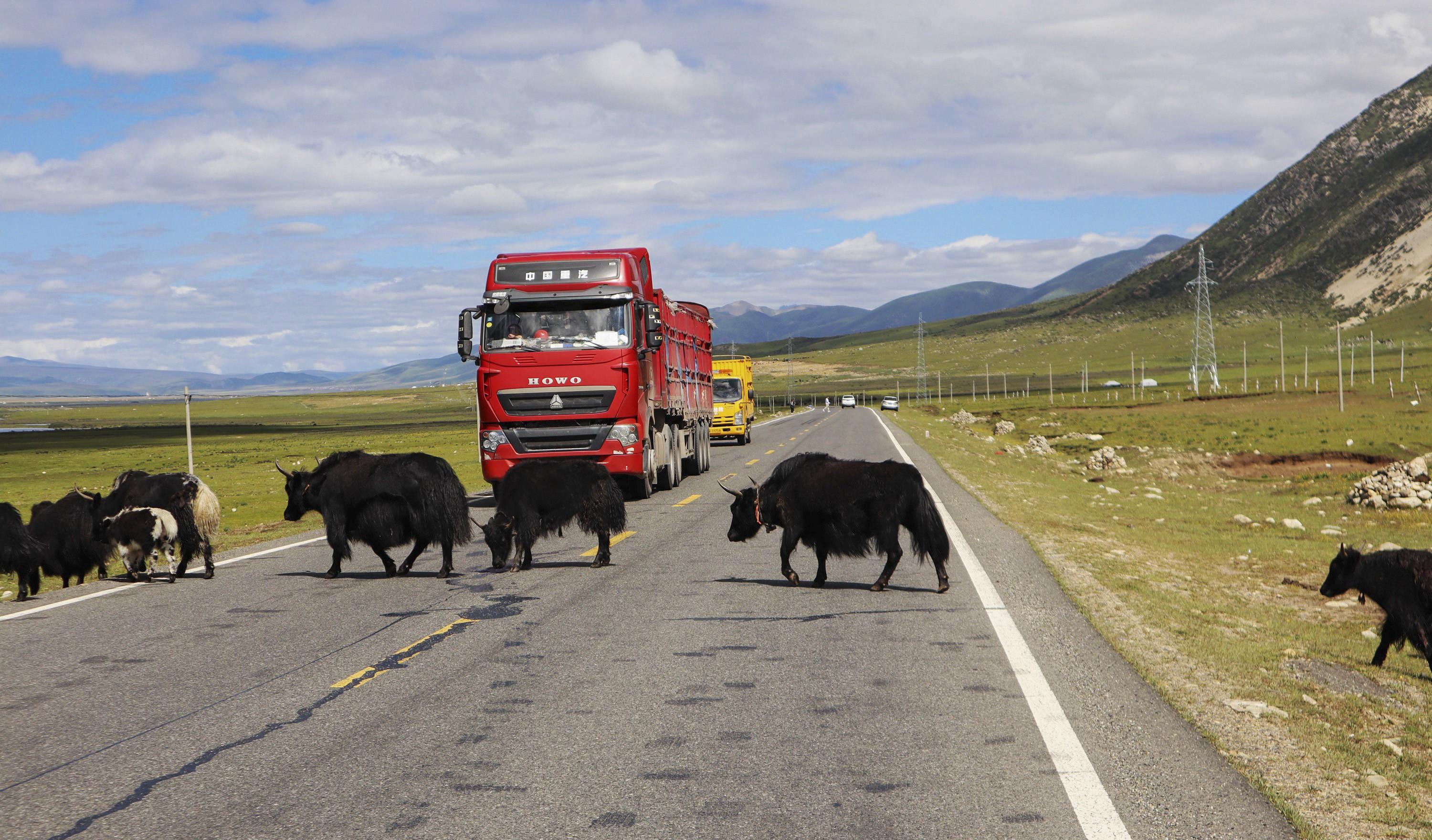 自駕游去西寧攻略_西寧自駕游費用_自駕西寧費用游玩多少錢