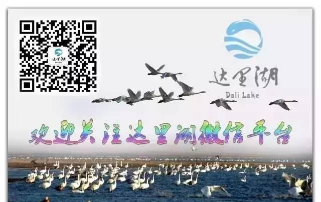 北京到承德自駕游_北京自駕到承德玩攻略_自駕承德游北京到北京路線