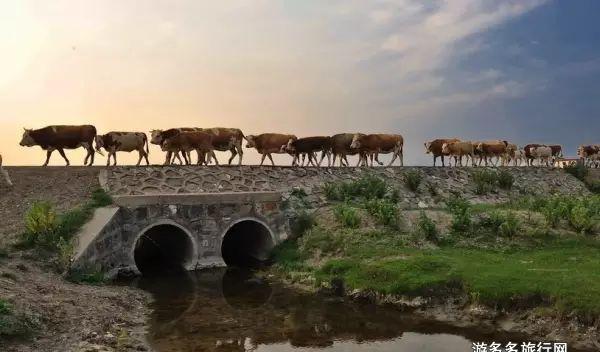 北京到承德自駕游_自駕承德游北京到北京路線_北京自駕到承德玩攻略