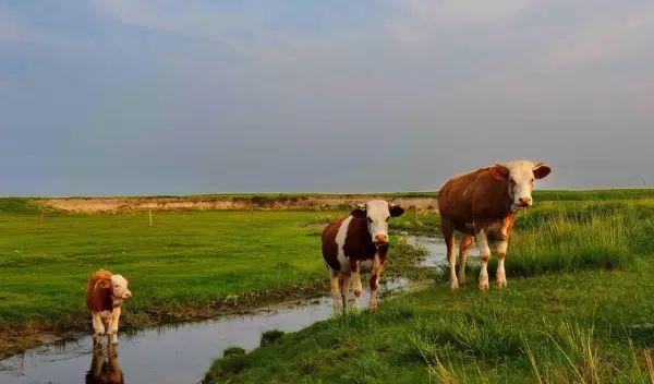 自駕承德游北京到北京路線_北京自駕到承德玩攻略_北京到承德自駕游