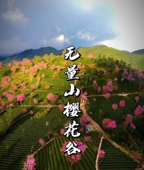 12月旅游最佳去處推薦:大理無量山櫻花谷、鳳凰關水庫紅葉節、牙克石雪景與梅里雪山