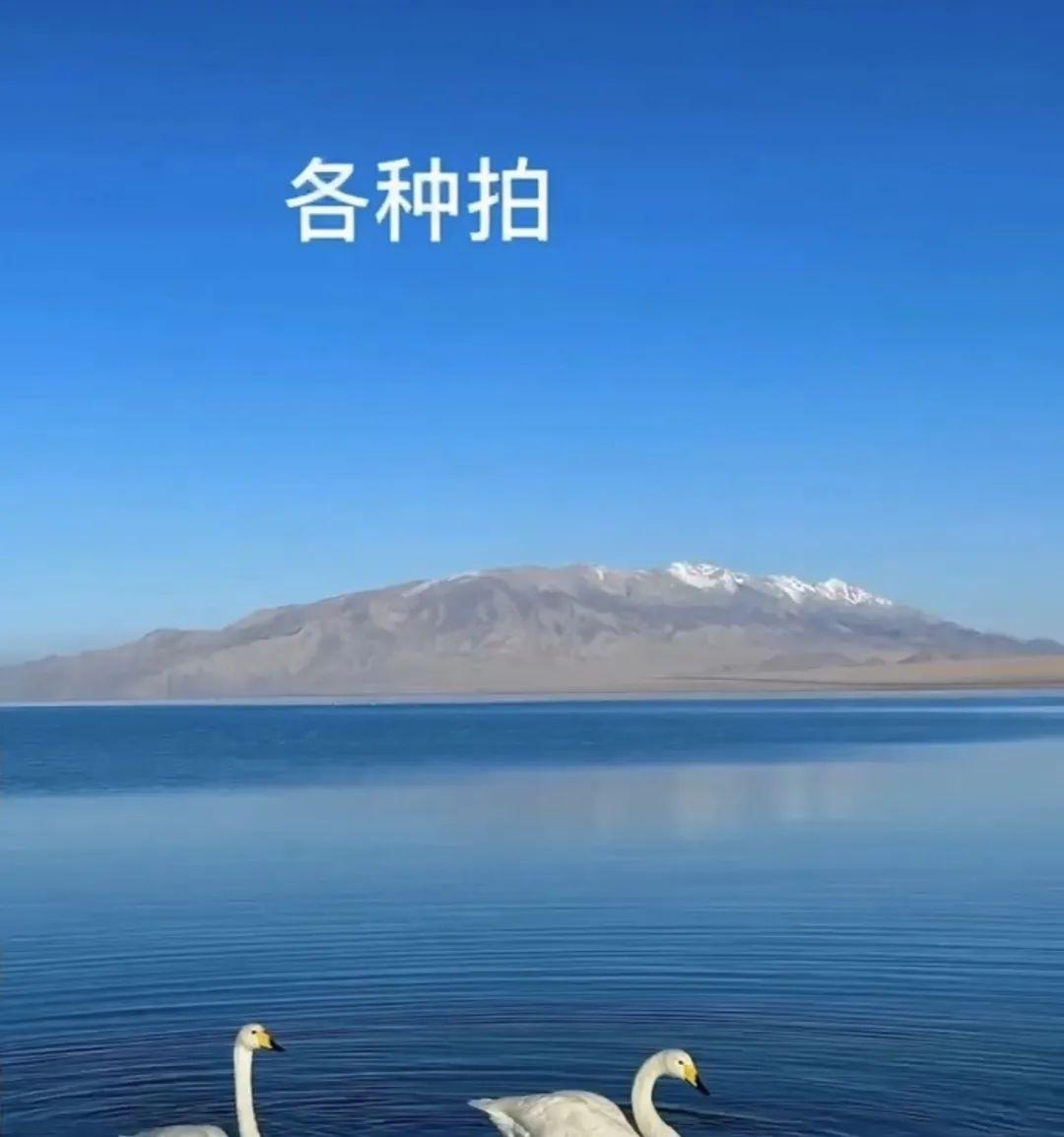 上海西藏自駕游_上海西藏自駕游費用_自駕西藏上海游玩攻略