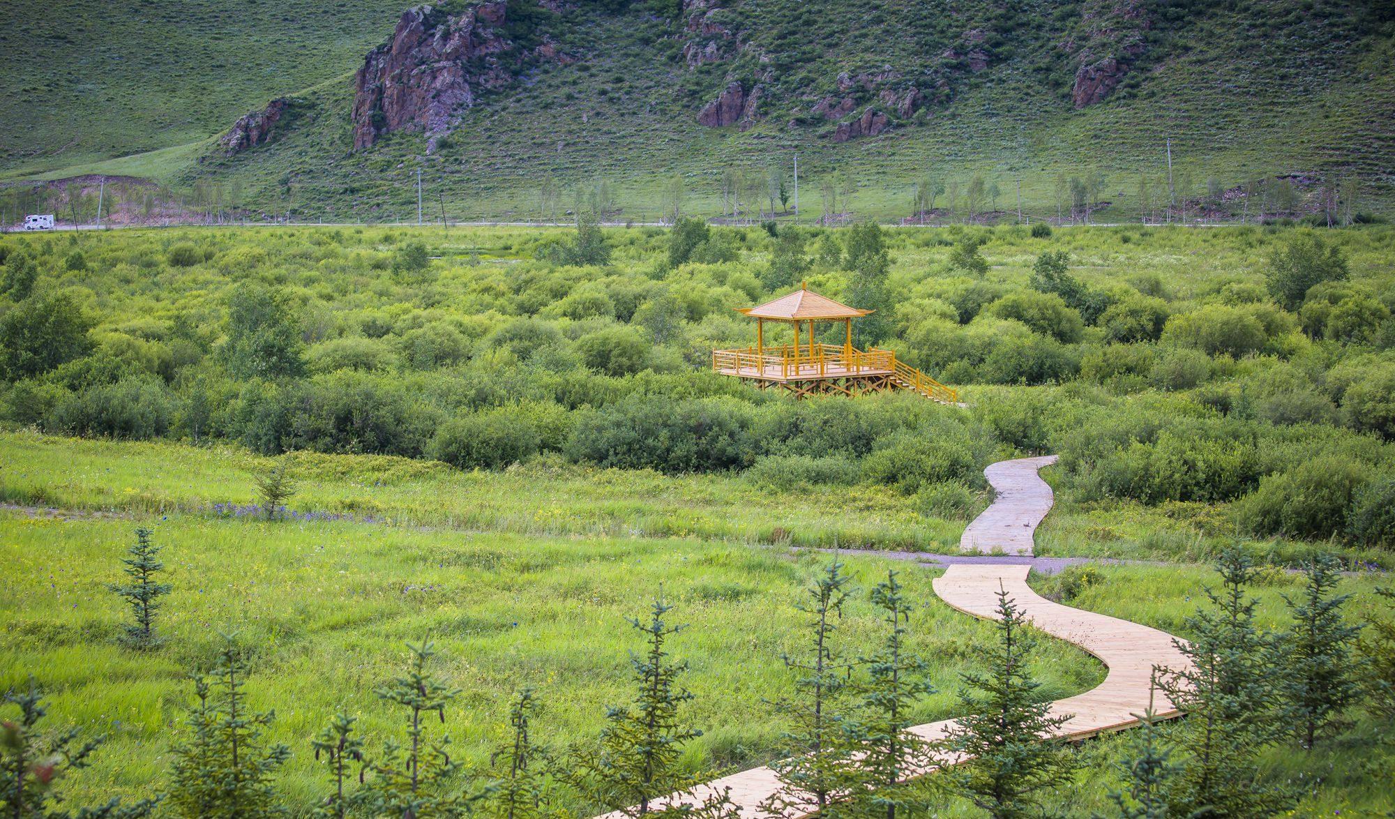 壩上草原一日游_壩上草原旅游景點_壩上草原好玩的