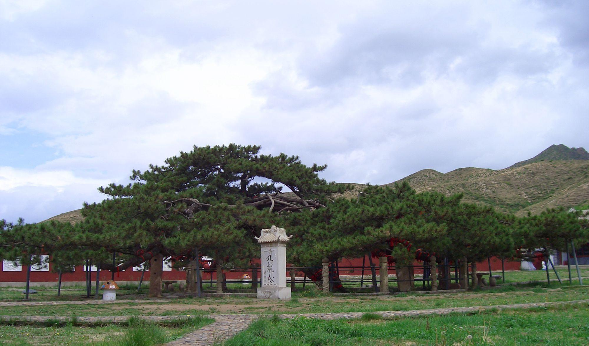 壩上草原旅游景點_壩上草原好玩的_壩上草原一日游