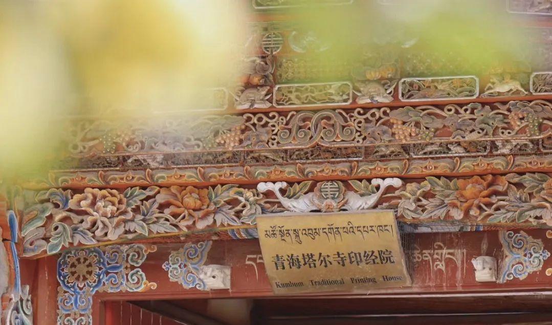 西藏的日記_西藏旅游日記_西藏旅游日記怎么寫