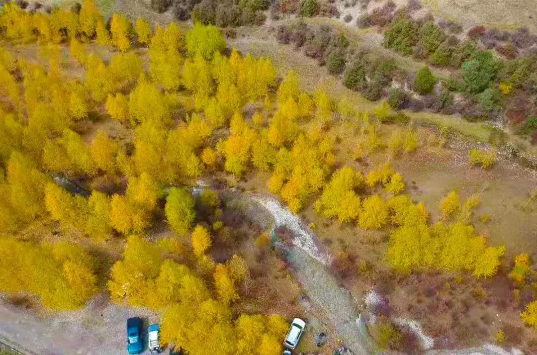 銀川周邊自駕游_春節銀川周邊自駕風景_銀川周邊500公里自駕游