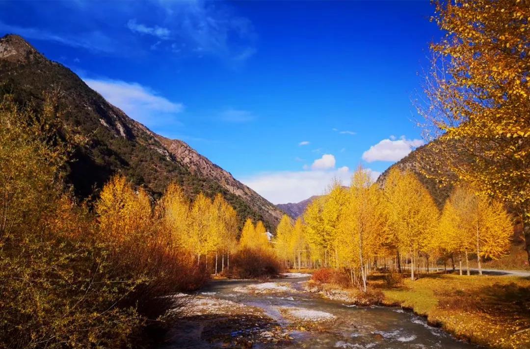春節銀川周邊自駕風景_銀川周邊自駕游_銀川周邊500公里自駕游