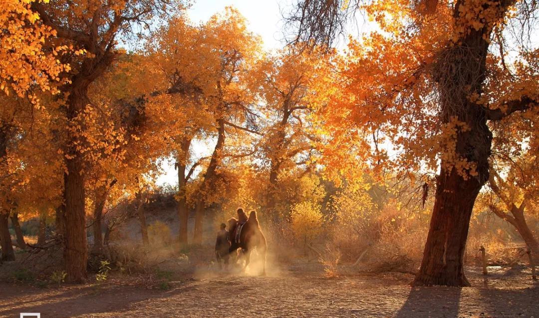 銀川周邊自駕游_銀川周邊500公里自駕游_春節銀川周邊自駕風景