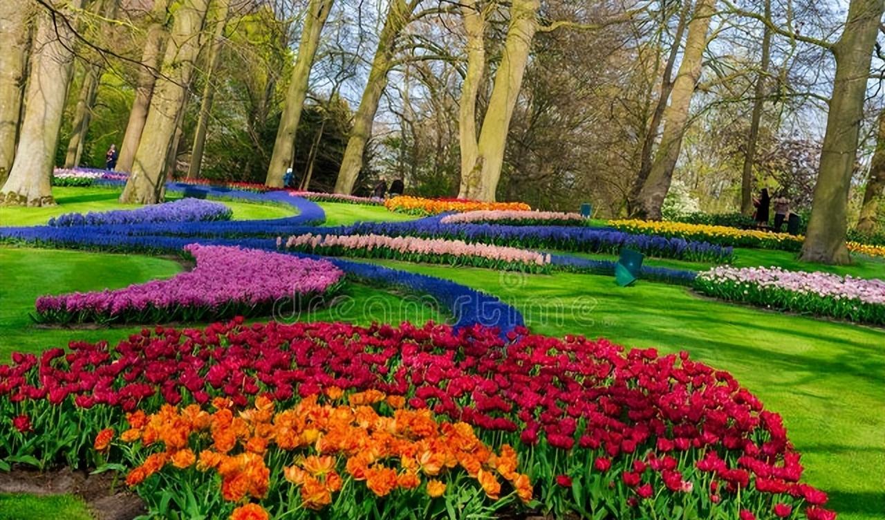 荷蘭旅游價格_荷蘭旅游攻略自助游_荷蘭旅游多少錢