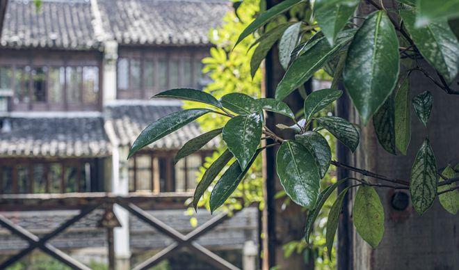 適合老年人旅游的_適合老年人旅游_適合老年人旅游項目