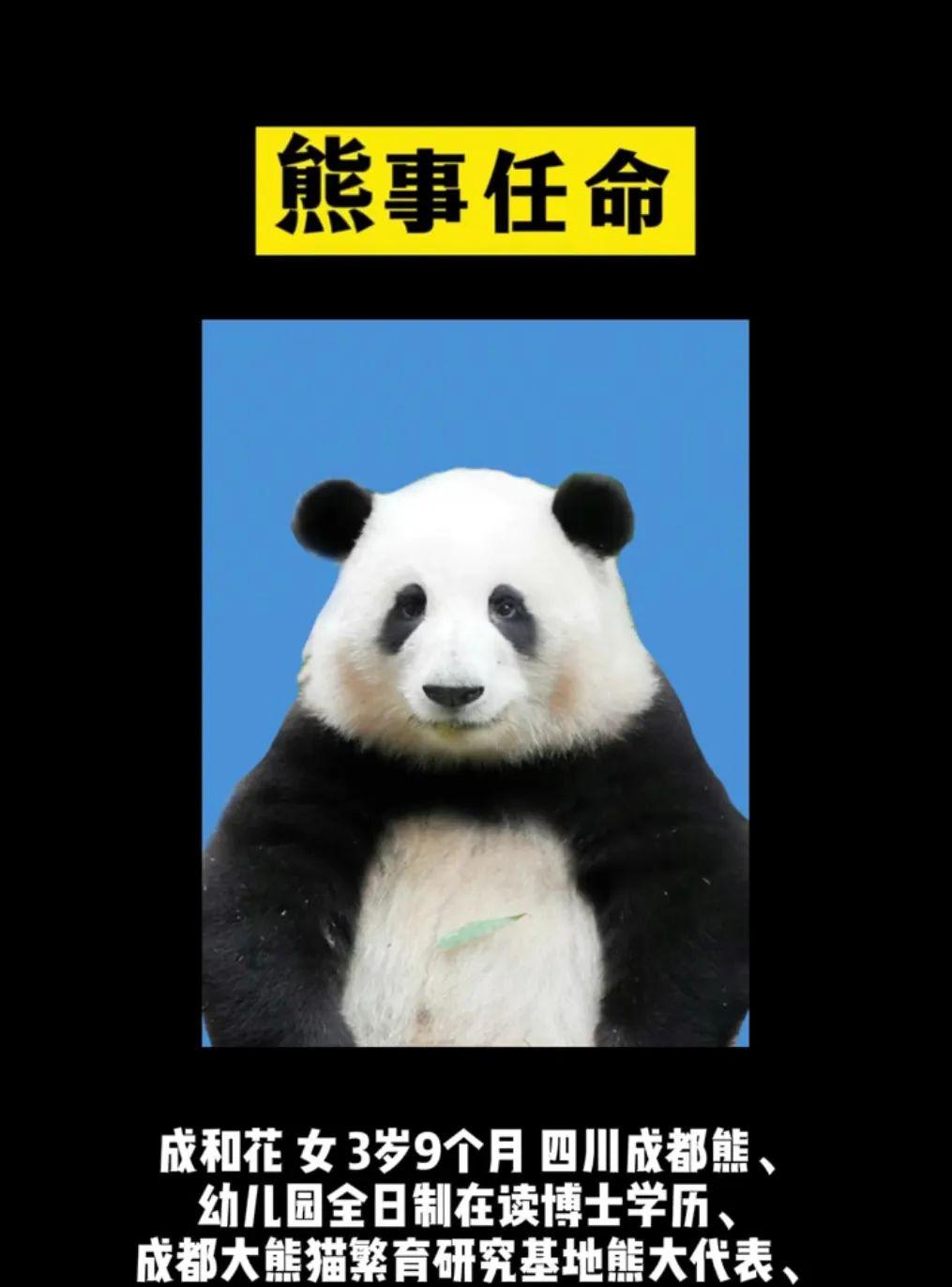 成都旅游文化發展股份有限公司_成都旅游文化局官網_成都文化旅游