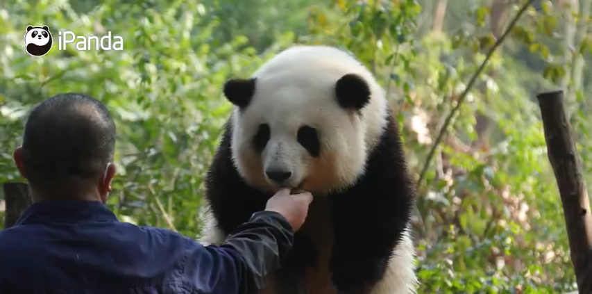 成都旅游文化局官網_成都旅游文化發展股份有限公司_成都文化旅游