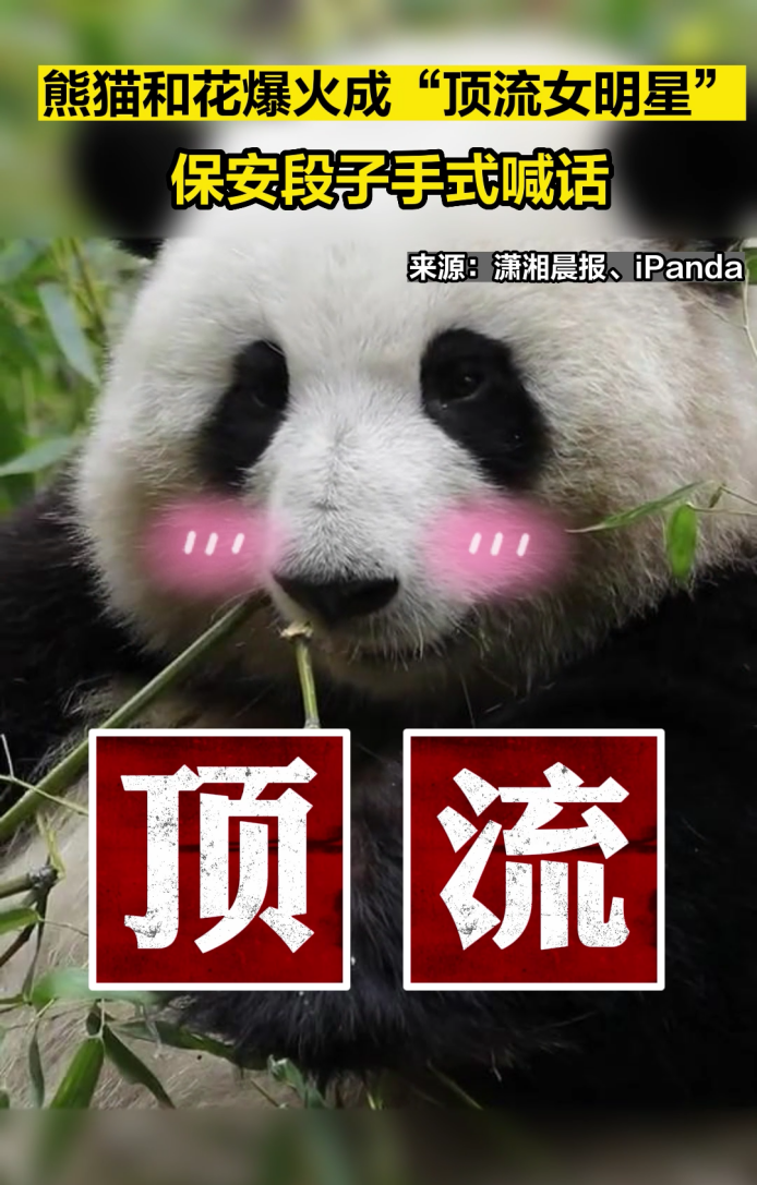 成都旅游文化發展股份有限公司_成都旅游文化局官網_成都文化旅游