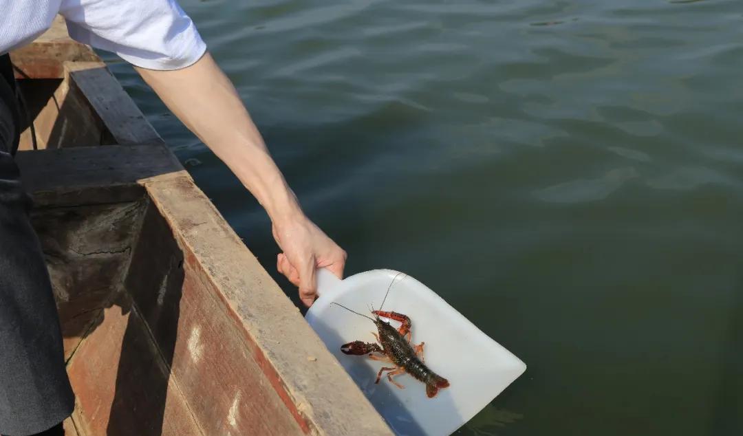 范縣火車_河南范縣火車站_濮陽范縣火車站