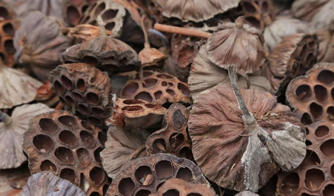 濮陽范縣火車站_河南范縣火車站_范縣火車