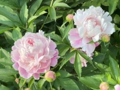 石家莊旅游景點推薦,石家莊旅游景點有哪些