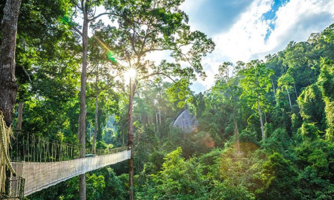 西雙版納全路線攻略，你確定不看看？