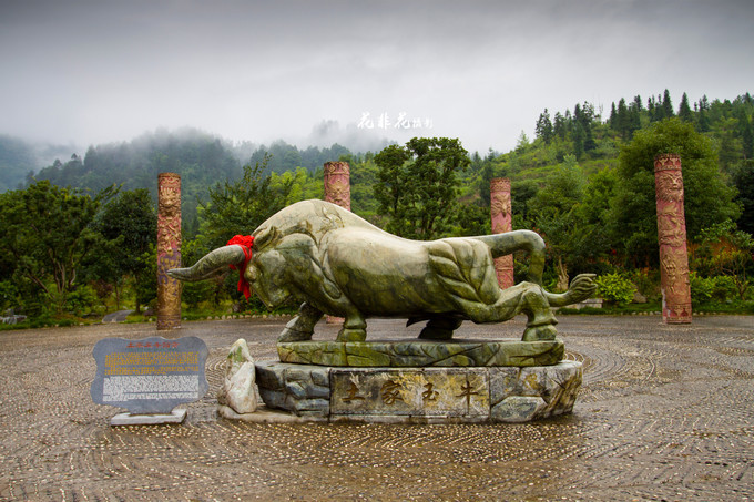 梵凈山_柔情繾綣繞峰崖