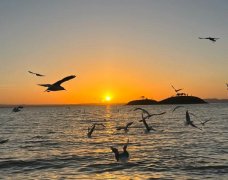 烏海旅游景點大全排名前十,烏海熱門景點有哪些