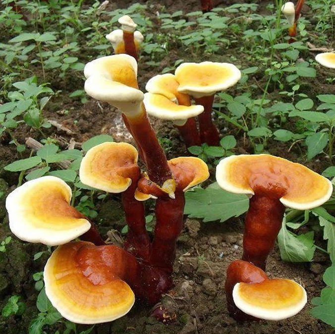 1611997835272473.png image.png