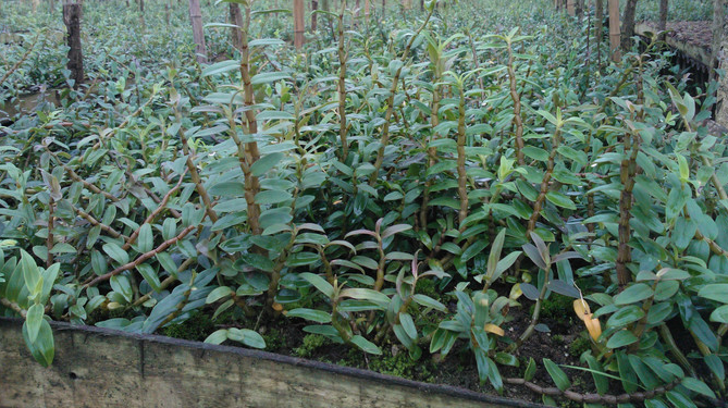 1611997866100077.png image.png