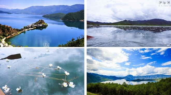 1646199718890033.png image.png