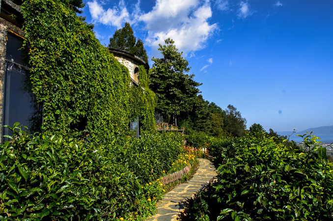 1646199756648326.png image.png