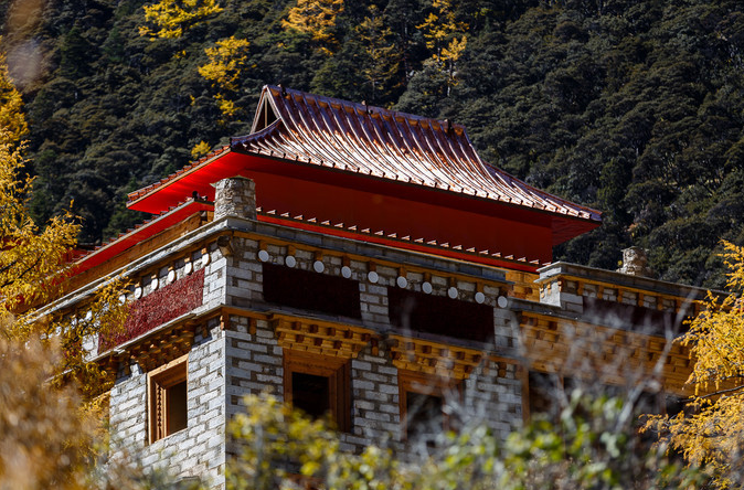 1650768119458683.png image.png